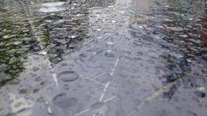 Проливен дъжд наводни Ловеч